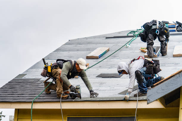 Professional Roofing technician working in Alma, CO